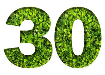 number 30 from green leaves  isolated on transparent background. suitable for birthday, anniversary and memorial day templates.