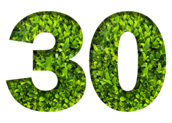 number 30 from green leaves  isolated on transparent background. suitable for birthday, anniversary and memorial day templates.