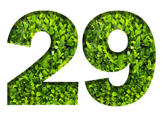 number 29 from green leaves  isolated on transparent background. suitable for birthday, anniversary and memorial day templates.