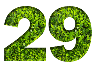 number 29 from green leaves  isolated on transparent background. suitable for birthday, anniversary and memorial day templates.