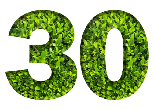number 30 from green leaves isolated on transparent background. suitable for birthday, anniversary and memorial day templates. - Powered by Adobe