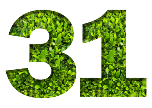 number 31 from green leaves isolated on transparent background. suitable for birthday, anniversary and memorial day templates.