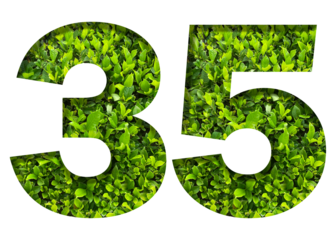 number 35 from green leaves  isolated on transparent background. suitable for birthday, anniversary and memorial day templates.