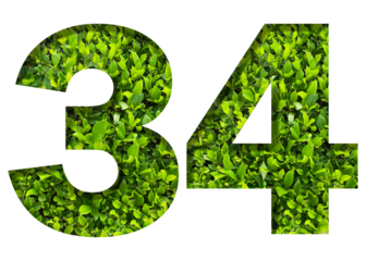 number 34 from green leaves  isolated on transparent background. suitable for birthday, anniversary and memorial day templates.
