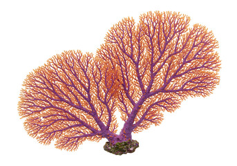 Coral Reef Sea Fan An Orange and Purple Aquatic Wonder