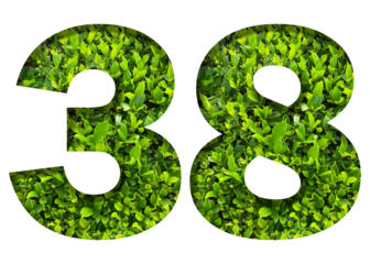 number 38 from green leaves isolated on transparent background. suitable for birthday, anniversary and memorial day templates.