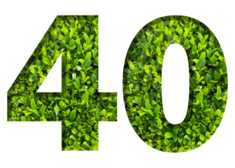 number 40 from green leaves  isolated on transparent background. suitable for birthday, anniversary and memorial day templates.