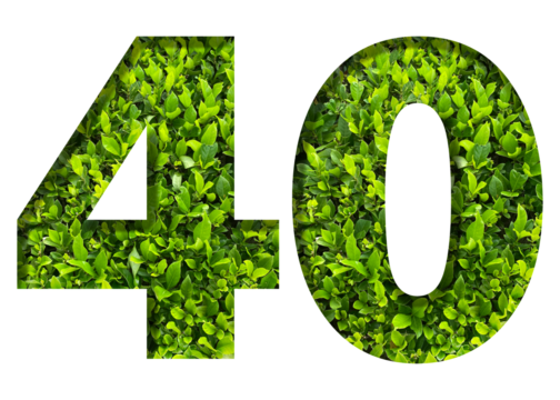 number 40 from green leaves  isolated on transparent background. suitable for birthday, anniversary and memorial day templates.