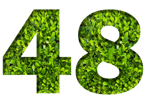 number 48 from green leaves  isolated on transparent background. suitable for birthday, anniversary and memorial day templates.