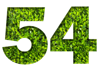 number 54 from green leaves  isolated on transparent background. suitable for birthday, anniversary and memorial day templates.