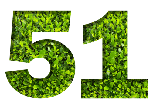 number 51 from green leaves  isolated on transparent background. suitable for birthday, anniversary and memorial day templates. - Powered by Adobe
