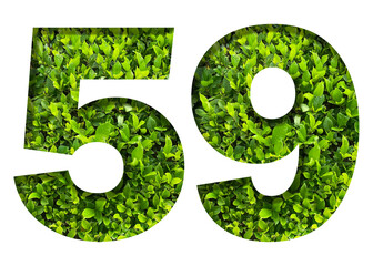 number 59 from green leaves  isolated on transparent background. suitable for birthday, anniversary and memorial day templates.