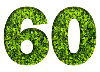 number 60 from green leaves  isolated on transparent background. suitable for birthday, anniversary and memorial day templates.