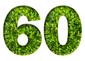 number 60 from green leaves  isolated on transparent background. suitable for birthday, anniversary and memorial day templates.