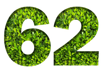 number 62 from green leaves  isolated on transparent background. suitable for birthday, anniversary and memorial day templates.
