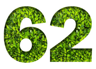 number 62 from green leaves  isolated on transparent background. suitable for birthday, anniversary and memorial day templates.