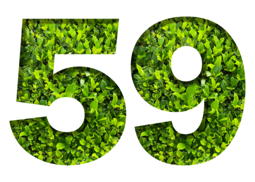 number 59 from green leaves isolated on transparent background. suitable for birthday, anniversary and memorial day templates.