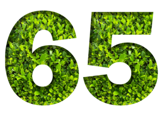 number 65 from green leaves  isolated on transparent background. suitable for birthday, anniversary and memorial day templates.
