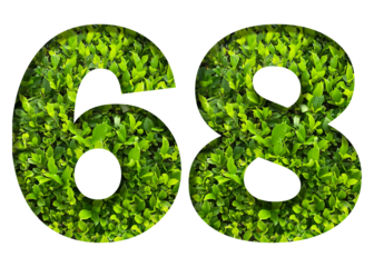 number 68 from green leaves  isolated on transparent background. suitable for birthday, anniversary and memorial day templates.