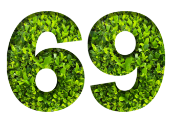 number 69 from green leaves  isolated on transparent background. suitable for birthday, anniversary and memorial day templates.