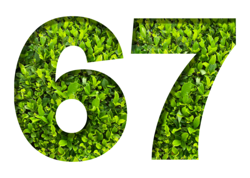 number 67 from green leaves isolated on transparent background. suitable for birthday, anniversary and memorial day templates.