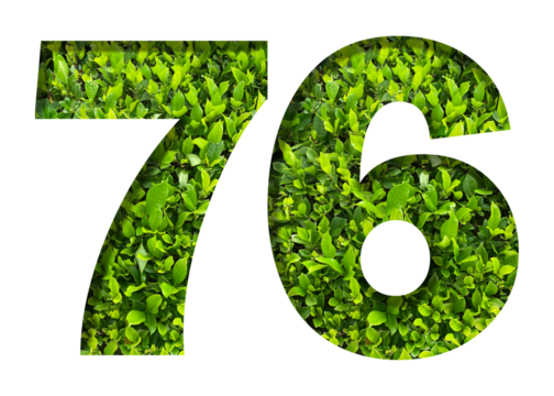 number 76 from green leaves isolated on transparent background. suitable for birthday, anniversary and memorial day templates.