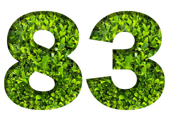 number 83 from green leaves  isolated on transparent background. suitable for birthday, anniversary and memorial day templates.