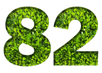 number 82 from green leaves  isolated on transparent background. suitable for birthday, anniversary and memorial day templates.