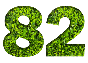 number 82 from green leaves  isolated on transparent background. suitable for birthday, anniversary and memorial day templates.