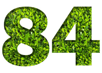 number 84 from green leaves  isolated on transparent background. suitable for birthday, anniversary and memorial day templates.