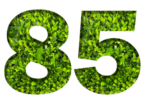 number 85 from green leaves  isolated on transparent background. suitable for birthday, anniversary and memorial day templates.