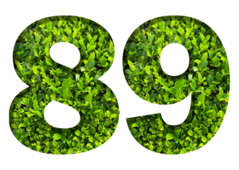 number 89 from green leaves  isolated on transparent background. suitable for birthday, anniversary and memorial day templates.