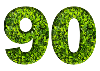 number 90 from green leaves  isolated on transparent background. suitable for birthday, anniversary and memorial day templates.