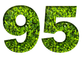 number 95 from green leaves  isolated on transparent background. suitable for birthday, anniversary and memorial day templates.