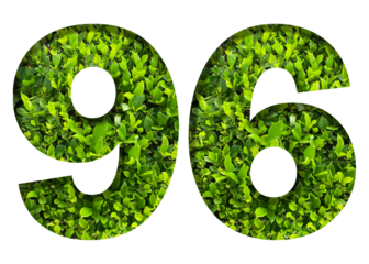 number 96 from green leaves  isolated on transparent background. suitable for birthday, anniversary and memorial day templates.