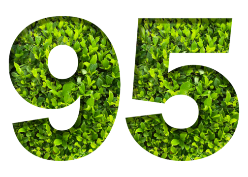 number 95 from green leaves  isolated on transparent background. suitable for birthday, anniversary and memorial day templates.