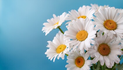 Fototapeta premium a close up of a bouquet of delicate daisies against a soft blue background concept of floral freshness