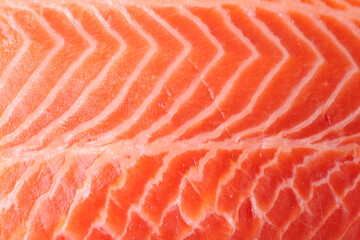 Fresh salmon fillet as background, closeup view