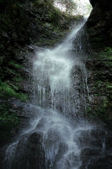 waterfall in the forest