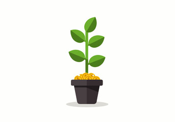 A small green plant with leaves growing in a dark gray pot filled with yellow soil, isolated on a white background.