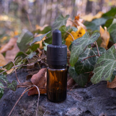 Autumn forest product photography, cannabis extract wellness