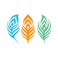 Obraz premium minimalistic peacock feather set