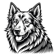 Fototapeta premium Detailed illustration of a Border Collie dog head black and white line art for pet lovers graphic design projects