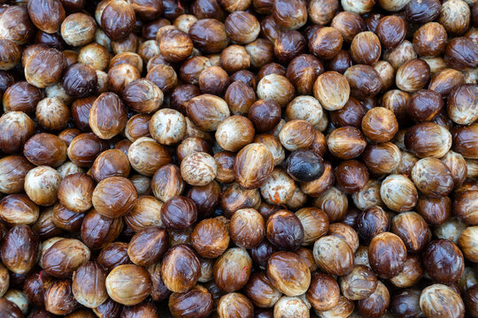Close up top view of whole dried nutmeg seeds. Aromatic brown Myristica fragrans spice for cooking ingredients. Food texture background.