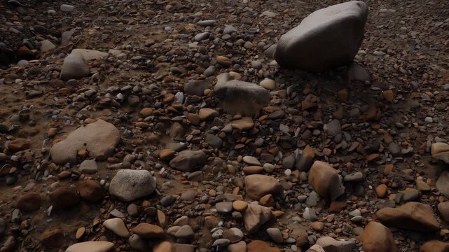 Close-up of River Rocks and Pebbles on a Natural Ground Surface
