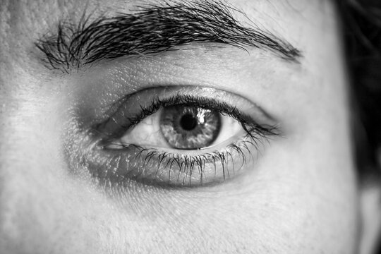 Primer Plano de un ojo humano an&oacute;nimo en blanco y negro
