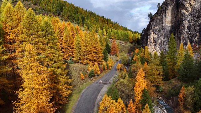 drone view of scenic autumn road in the Dolomites, Italian alps, golden larch trees in the Alps, road trip in the fall forest