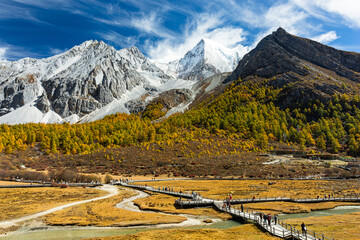 Beautiful Scenic of Luorong Grassland in Yading Natural Reserve