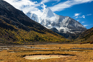 Beautiful Scenic of Luorong Grassland in Yading Natural Reserve