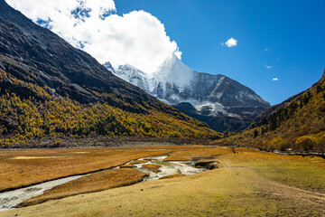 Beautiful Scenic of Luorong Grassland in Yading Natural Reserve